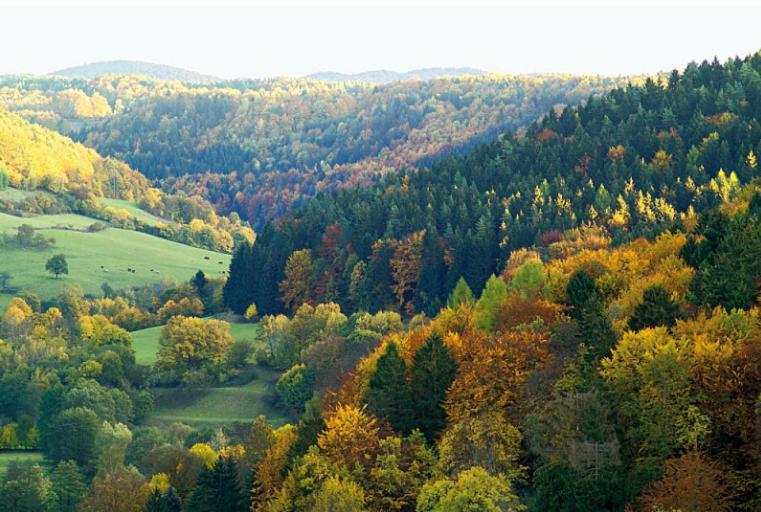 Hummelcasa Ferienhaus Bayreuth Pittersdorf ภายนอก รูปภาพ